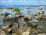 Punta Galindez - VIEQUES